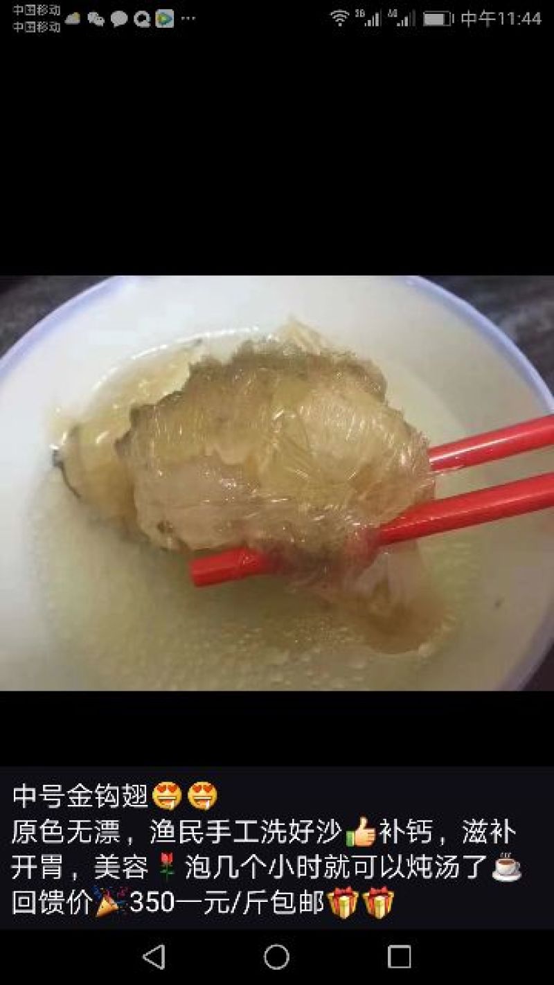 花胶中