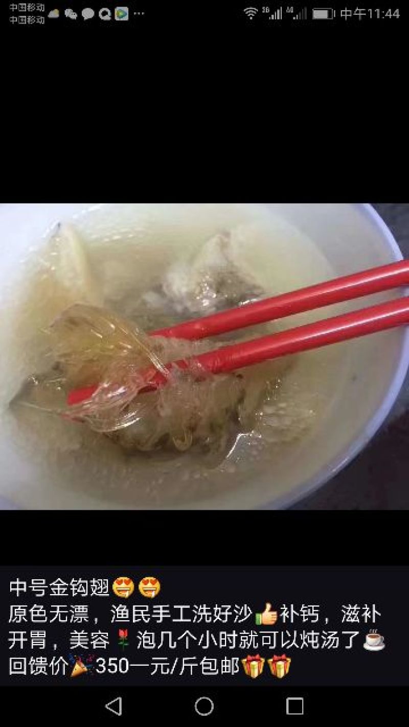花胶中