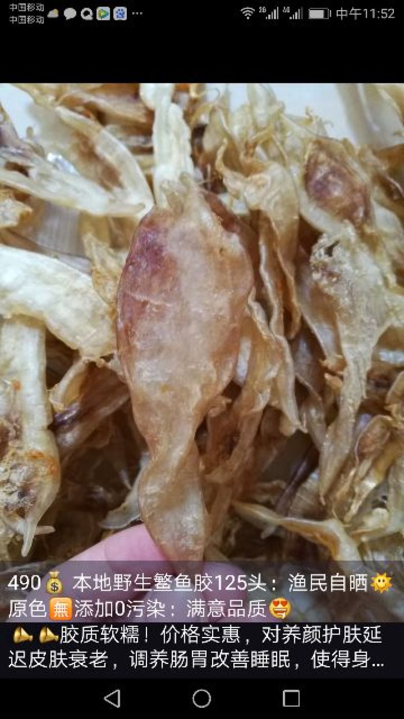 花胶小