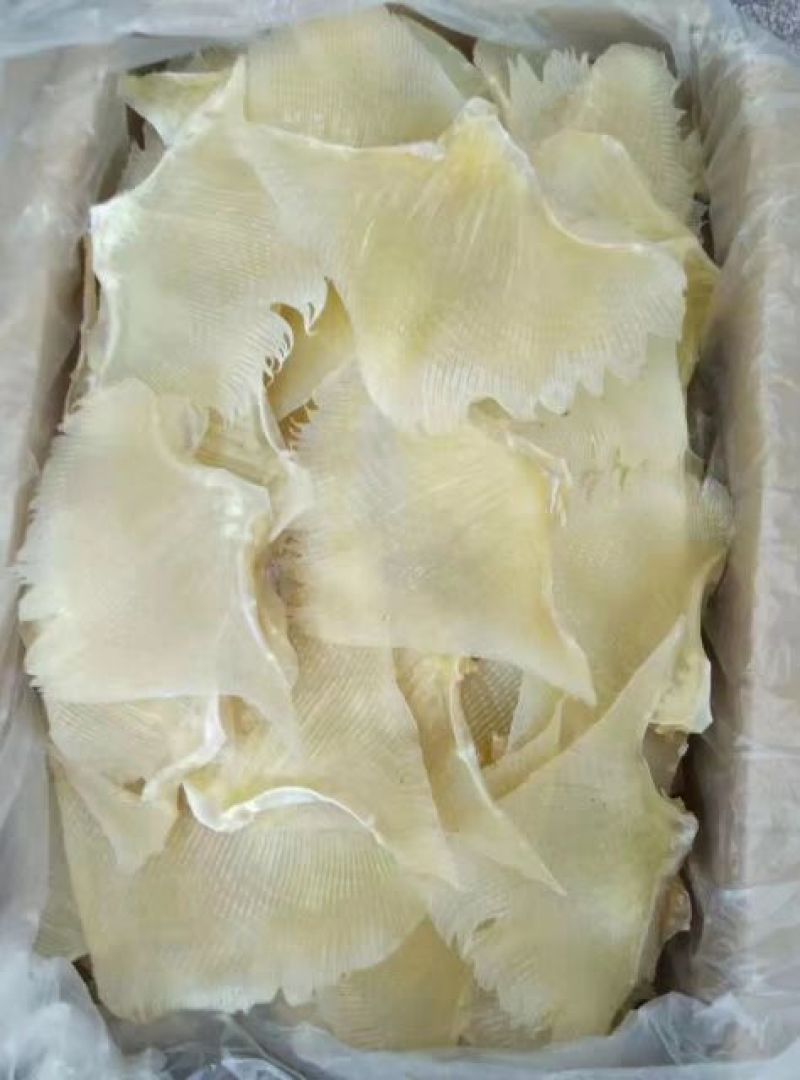 鱼翅