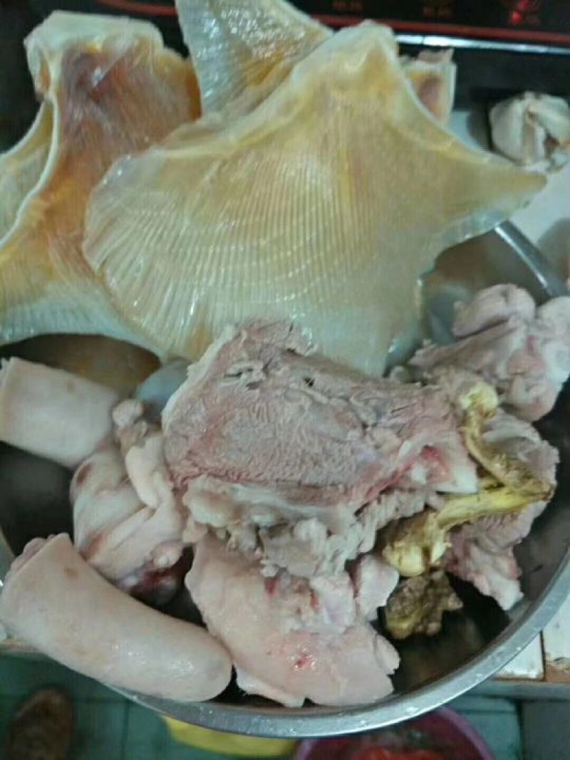 鱼翅