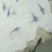 中华鲟鱼苗