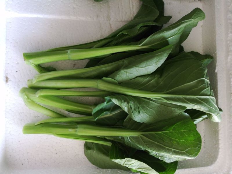 菜心菜苔广东菜心