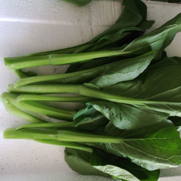 菜心菜苔广东菜心