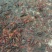 小龙虾虾苗4-6钱（20-30克）活虾小龙虾主养