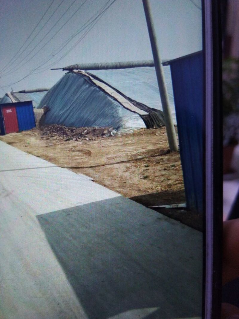 设施农用地出租温室大棚