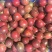 百香果紫果70~80g