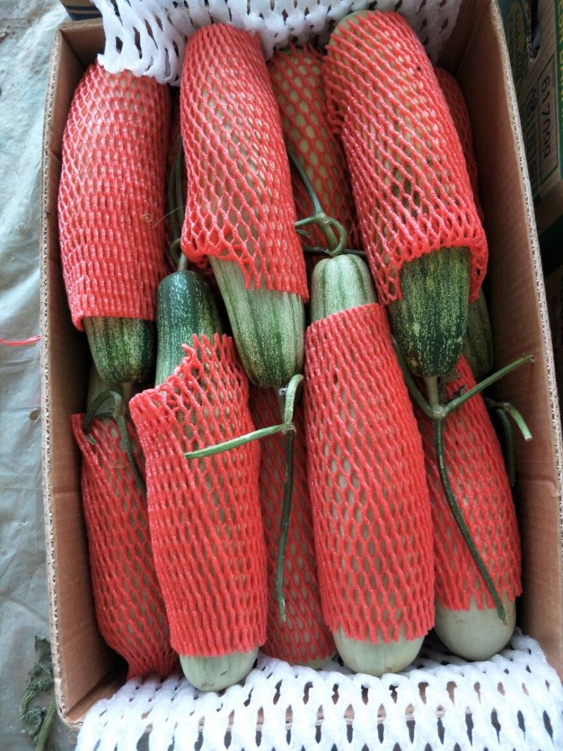 羊角蜜甜瓜精品1斤以上