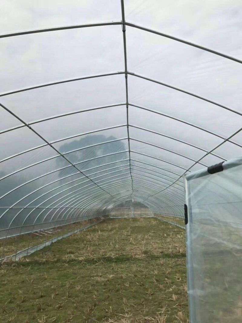 大棚骨架，蔬菜大棚，养殖大棚，免费送货上门