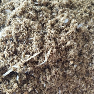 鱼粉鱼排粉
