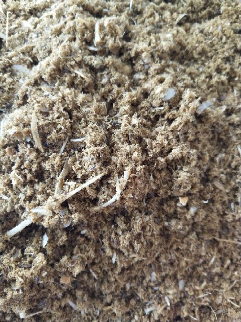 鱼粉鱼排粉