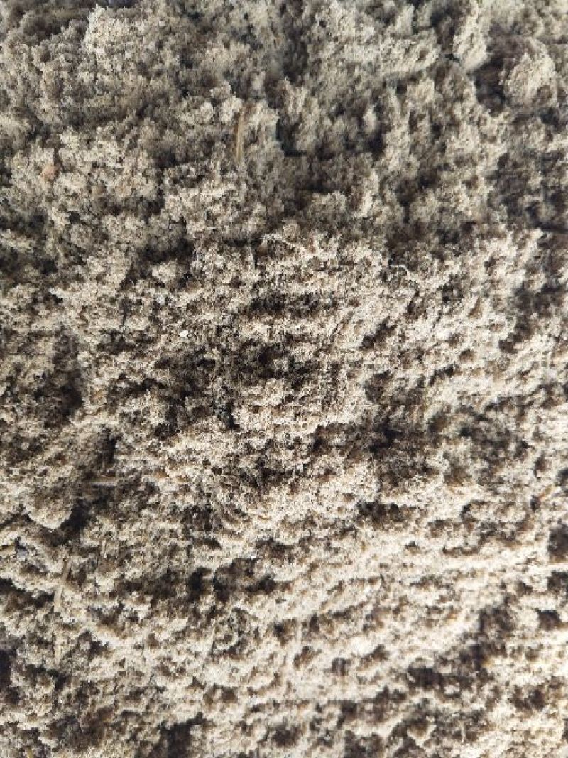 鱼粉鱼排粉