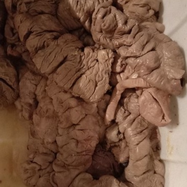 驴肉冻货