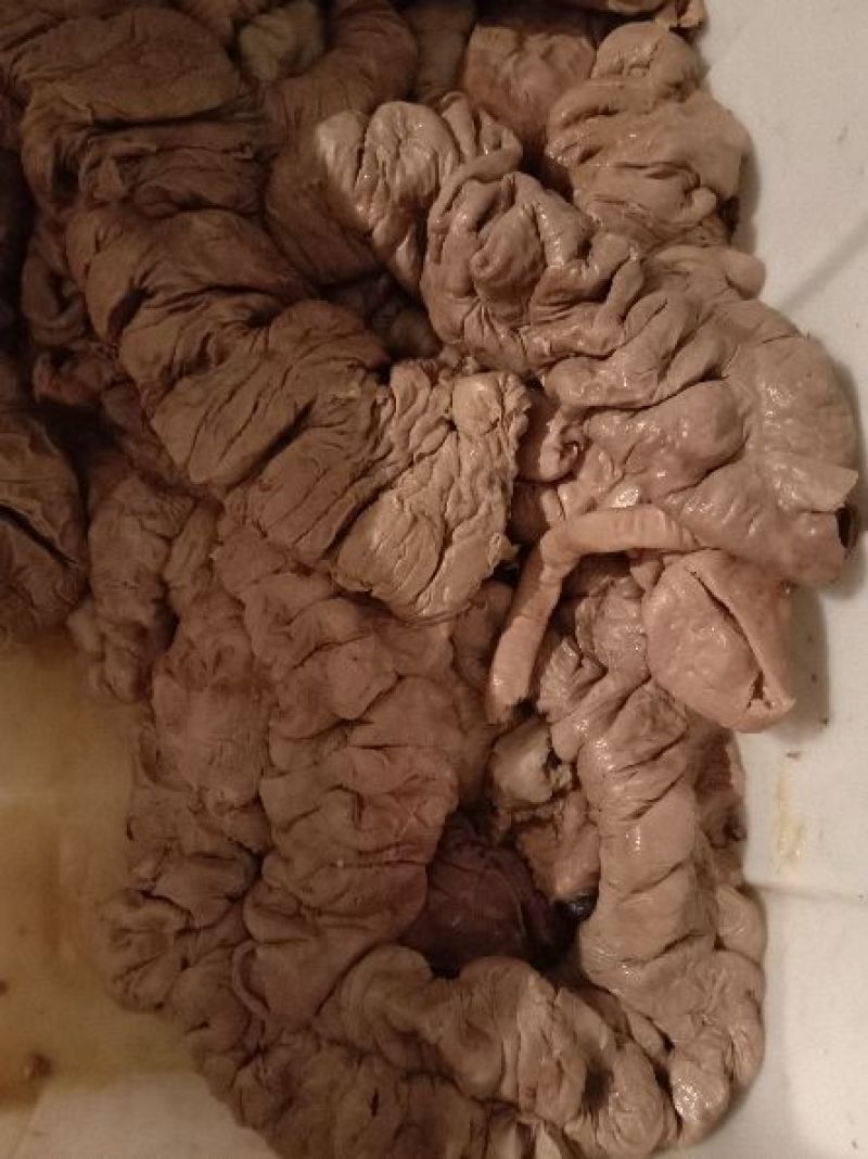 驴肉冻货
