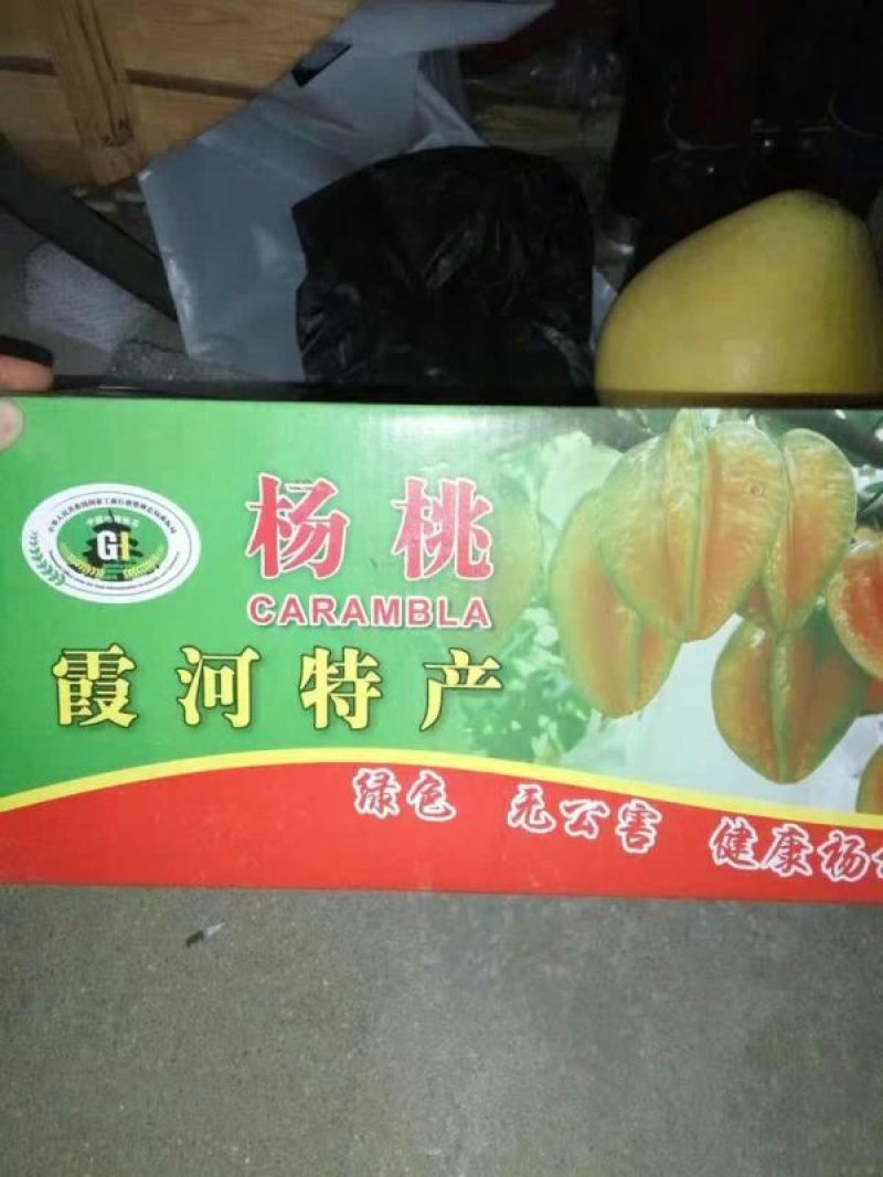 红杨桃4~5两