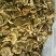 蘑菇一级4cm
