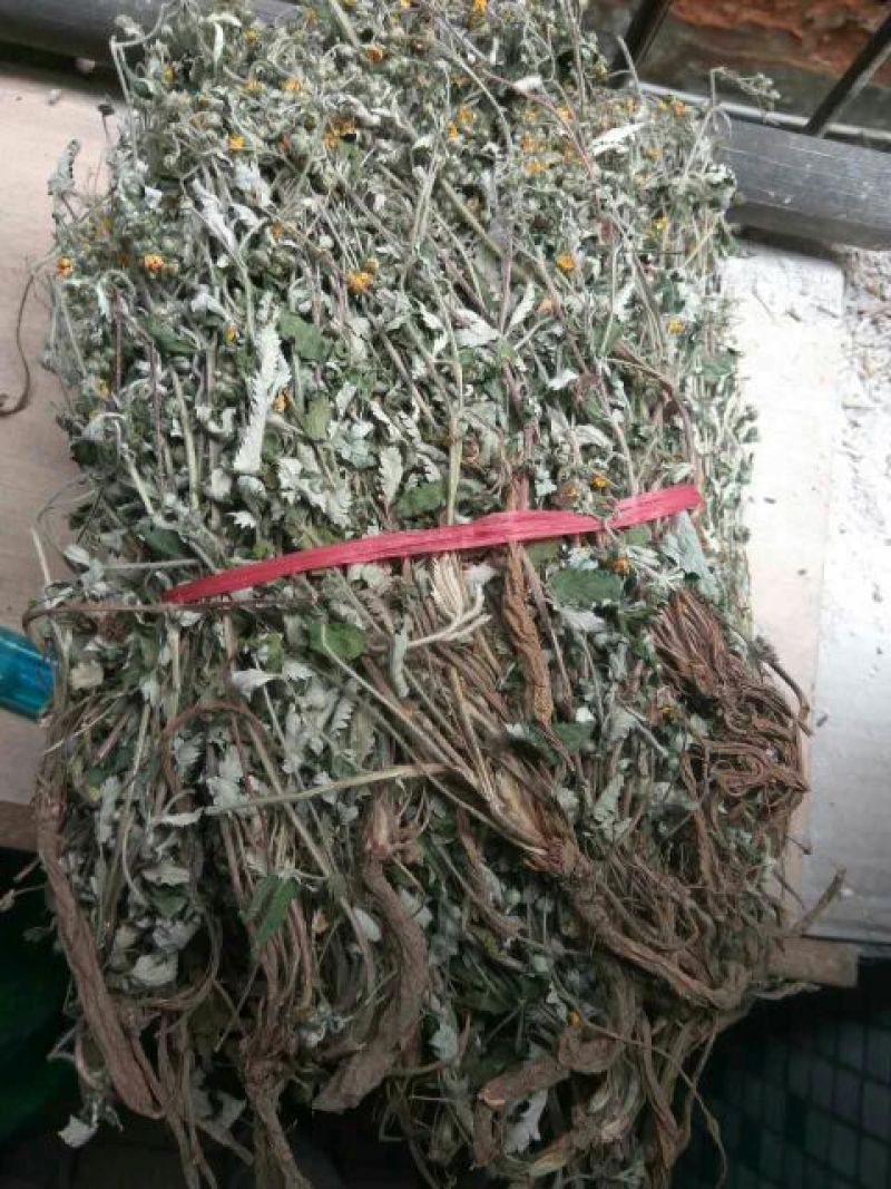 翻白草