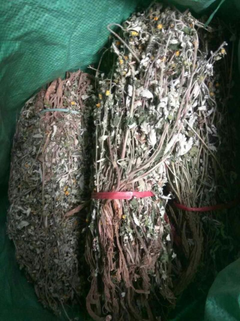 翻白草
