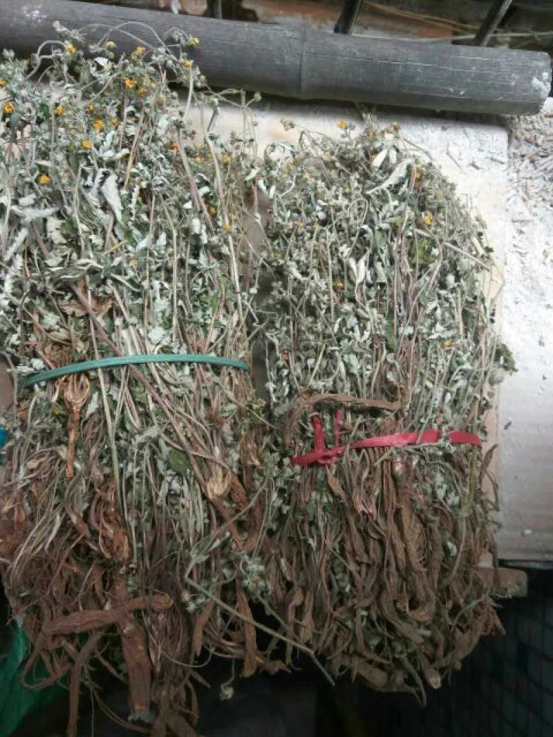 翻白草