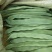 刀豆10~15cm