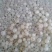 桂圆散装