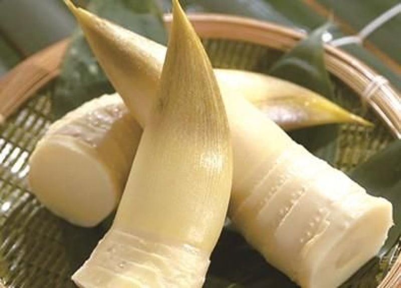 毛竹春笋10cm以下