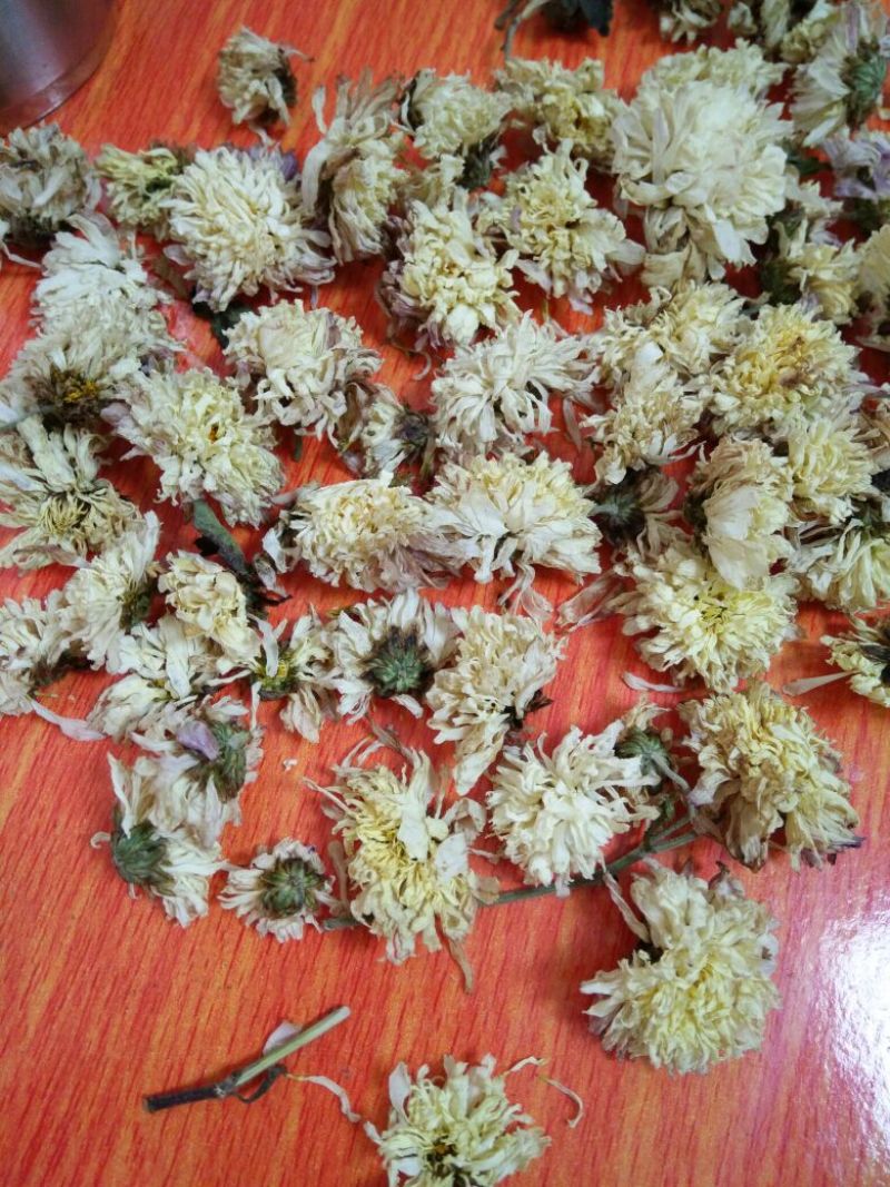 白菊花茶