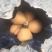 长虹枇杷1两以上