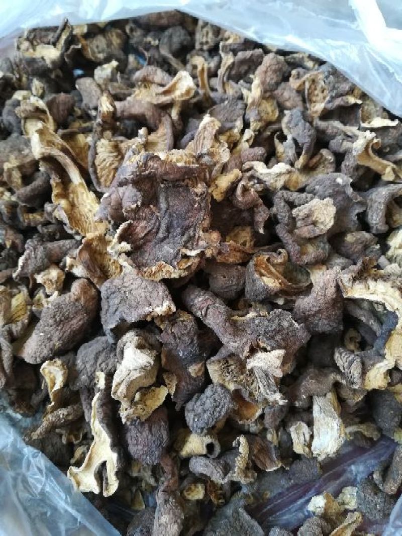 鸡腿菇特级