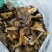 蘑菇纯野生蘑菇
