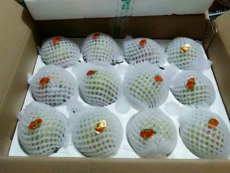 梨450~500g纸箱