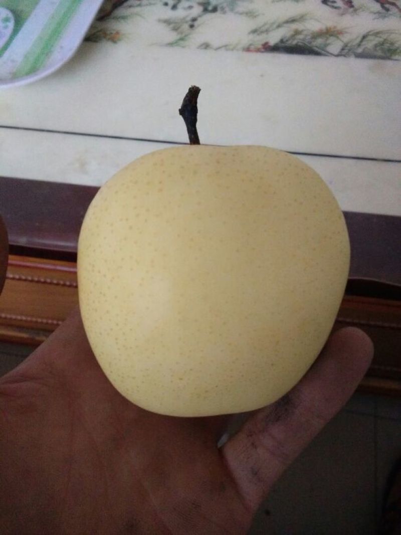皇冠梨纸加膜