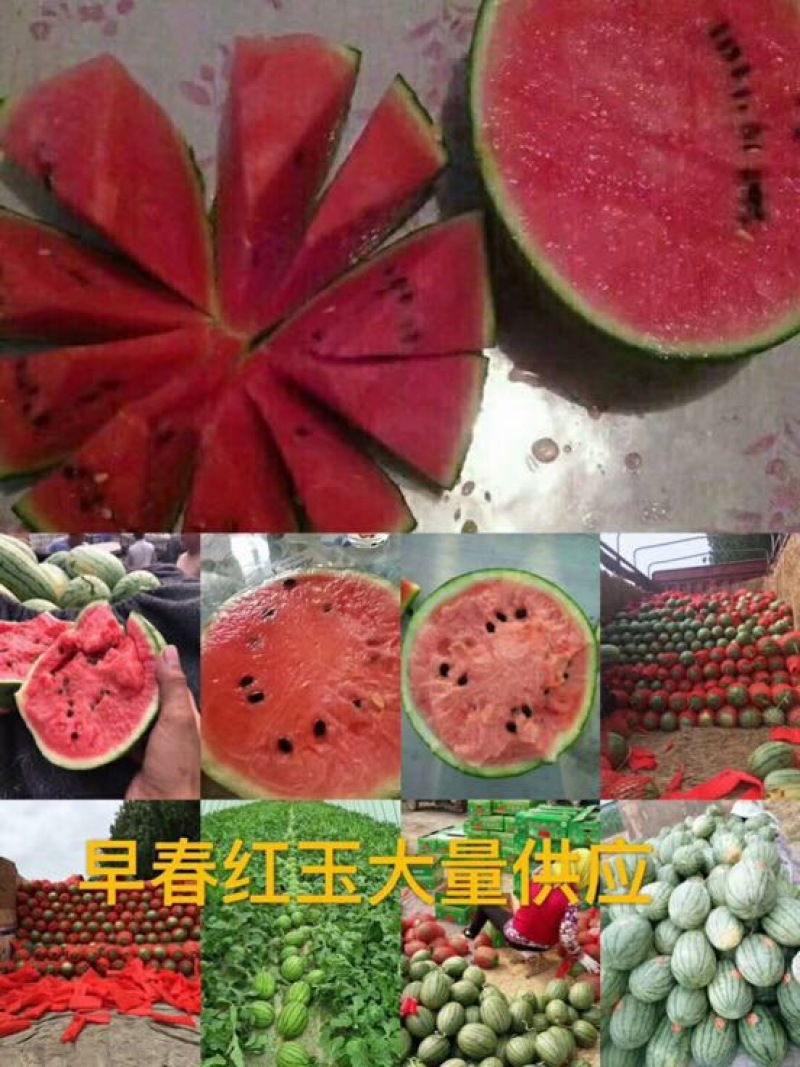 【精品】精品西瓜3斤打底9成熟1茬基地直发