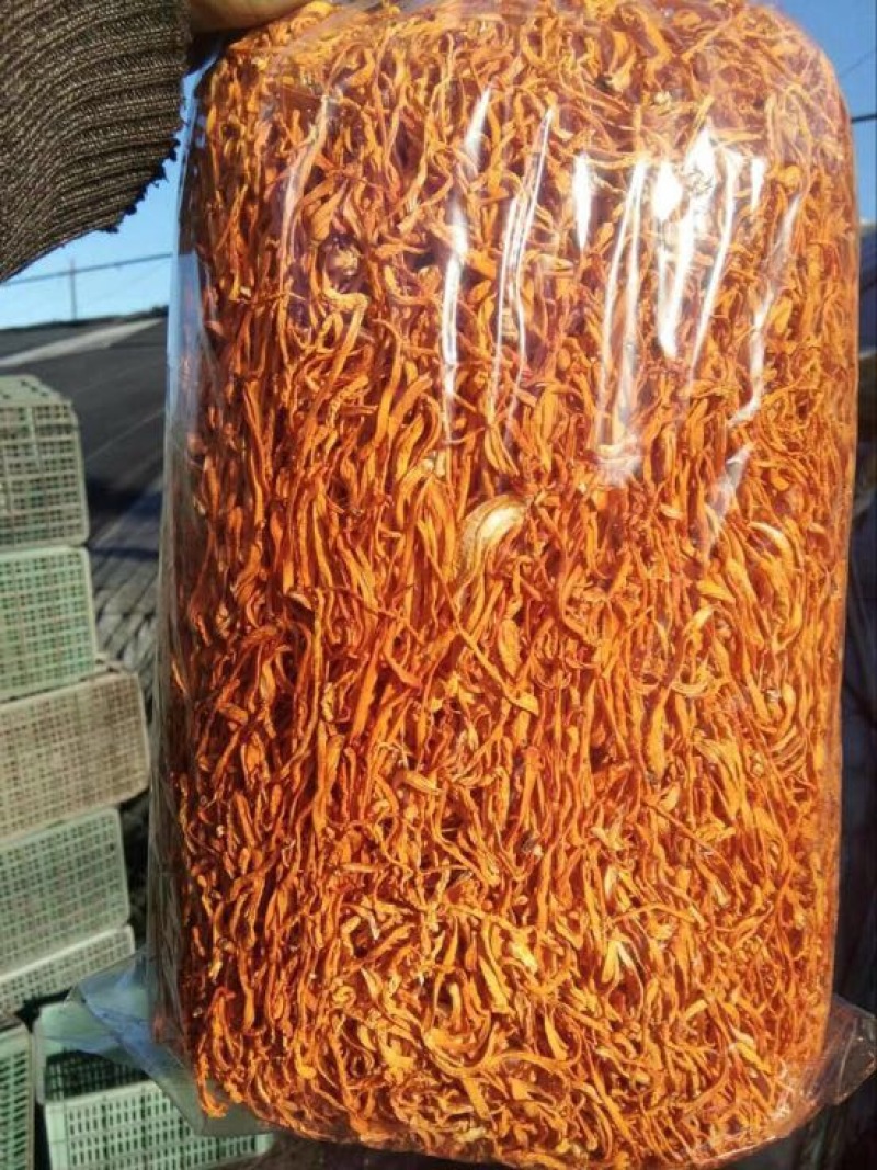 虫草花散装
