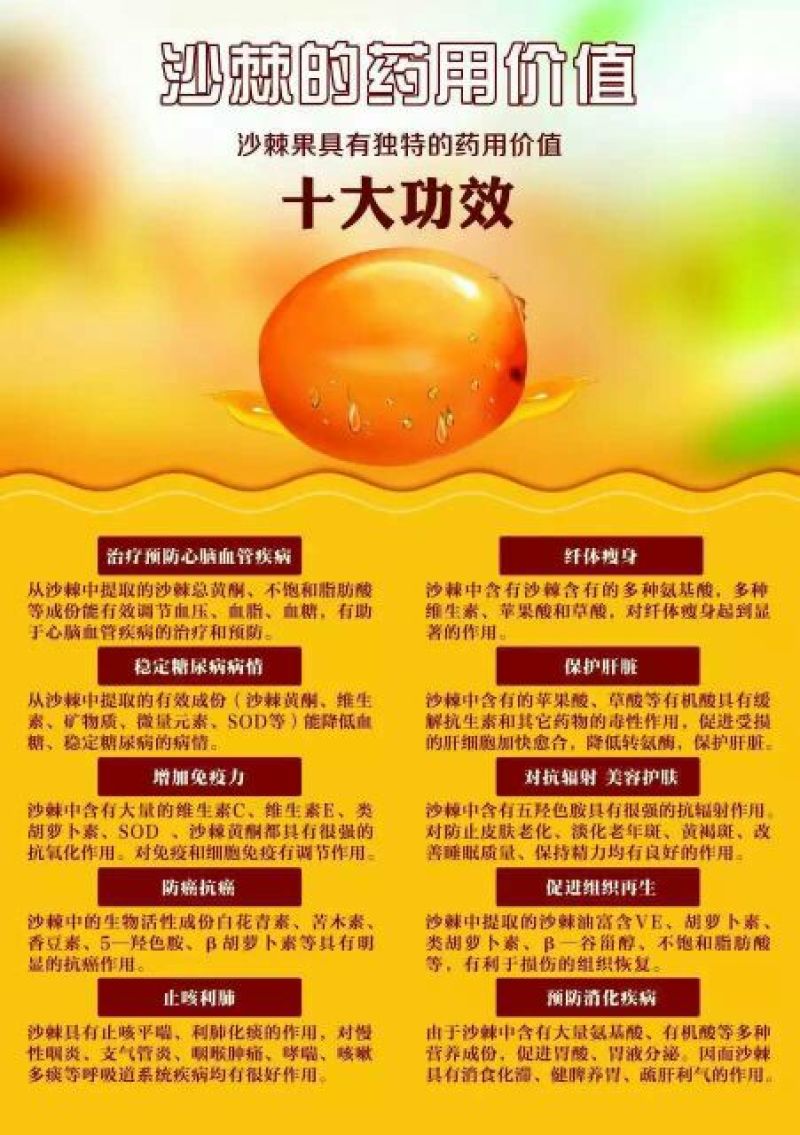 沙棘汁