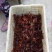 小龙虾食用8-10钱（40-50克）活虾小龙虾主养