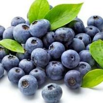 蓝莓鲜果4~6mm以上