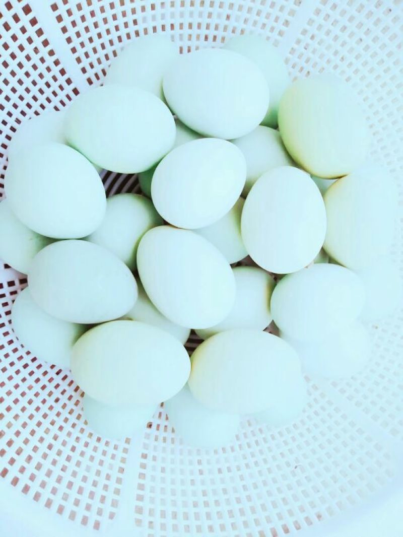 绿壳鸡蛋食用50g以下
