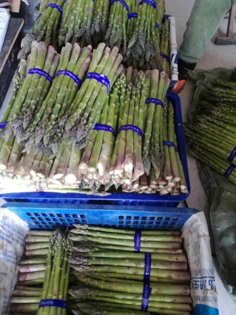 绿芦笋芦笋粉