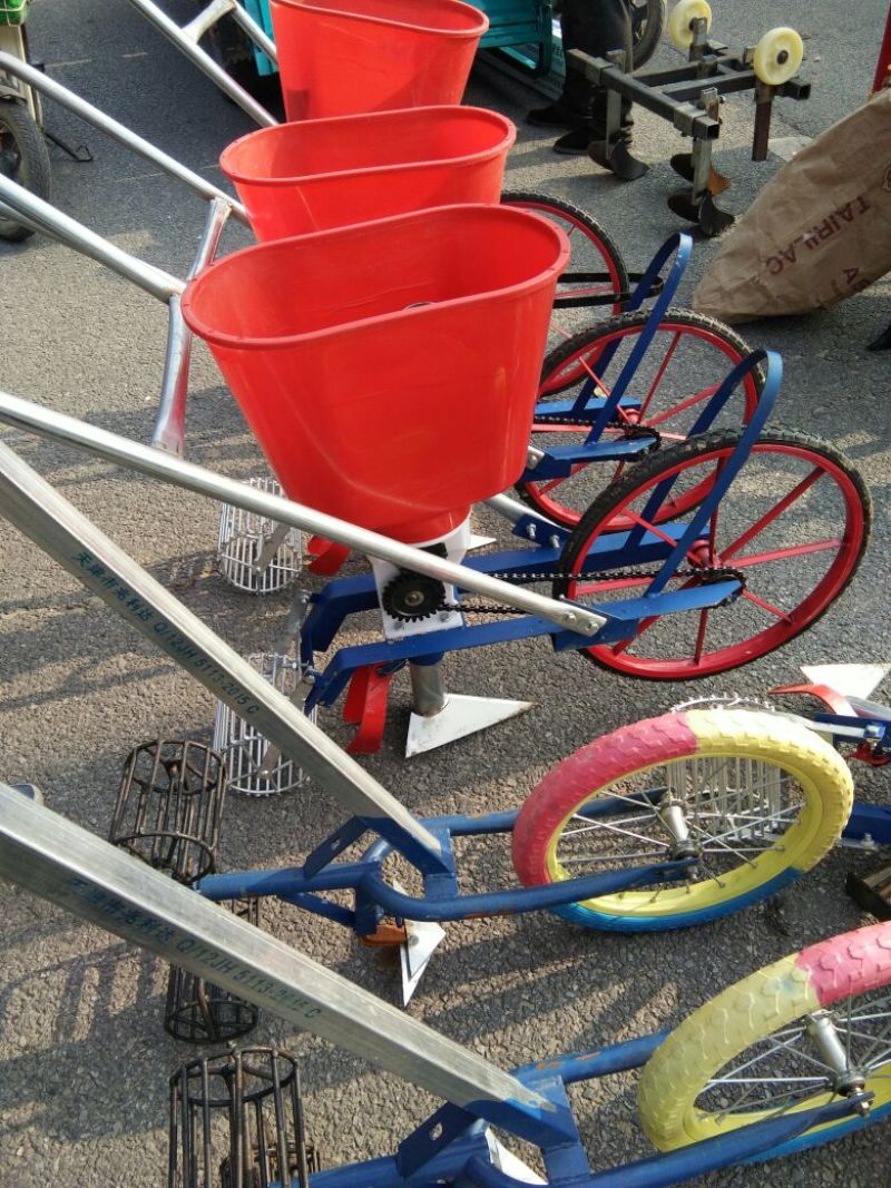 南沙参射干苗，知母秧，