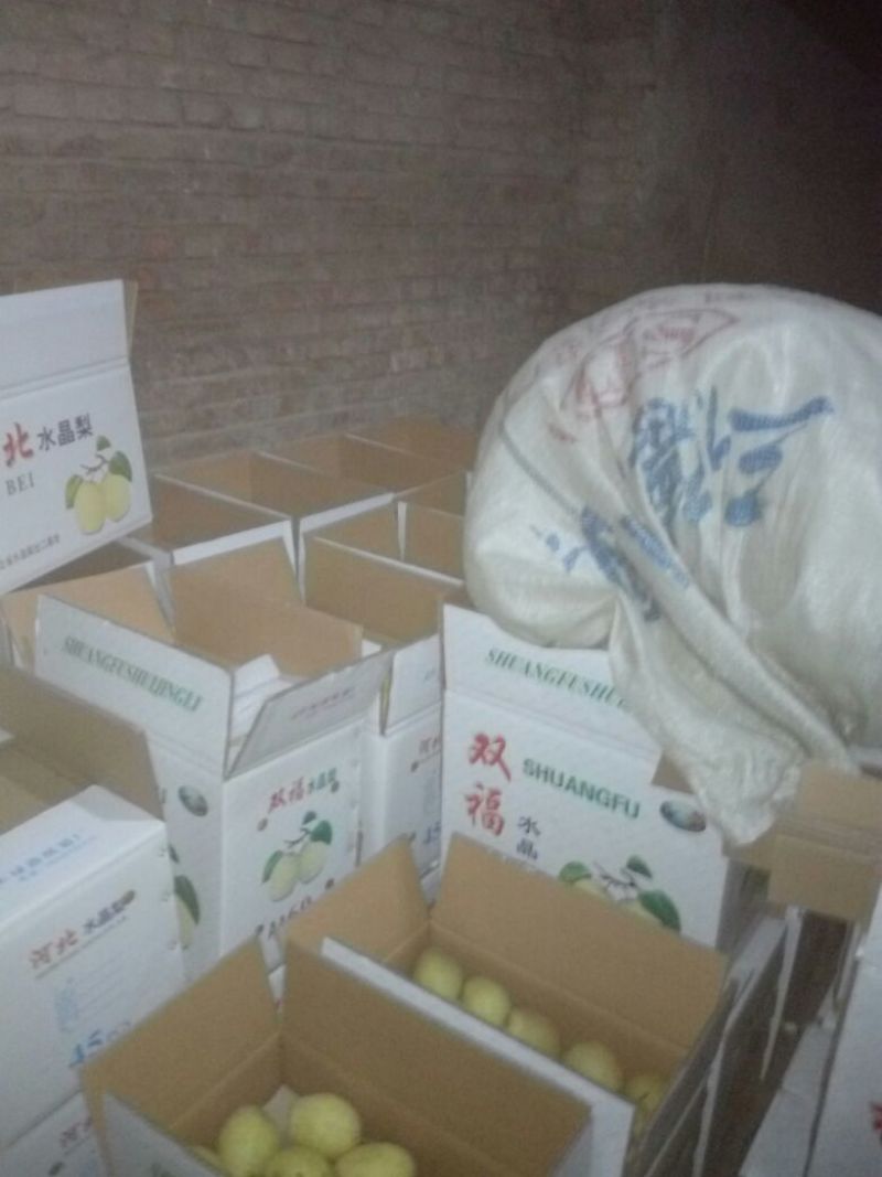 雪花梨200~250g纸袋