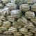 青皮白萝卜1~1.5斤起