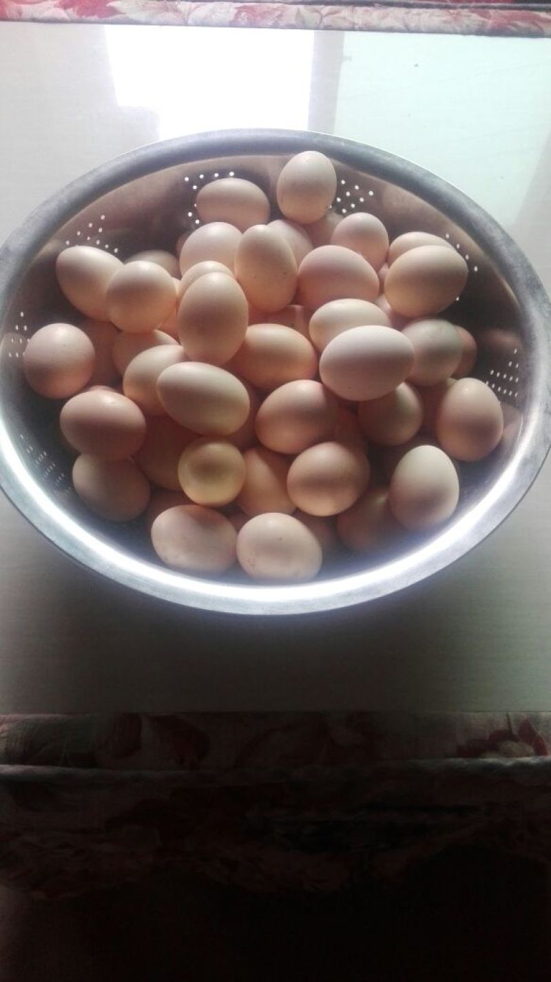 土鸡蛋食用40~50g