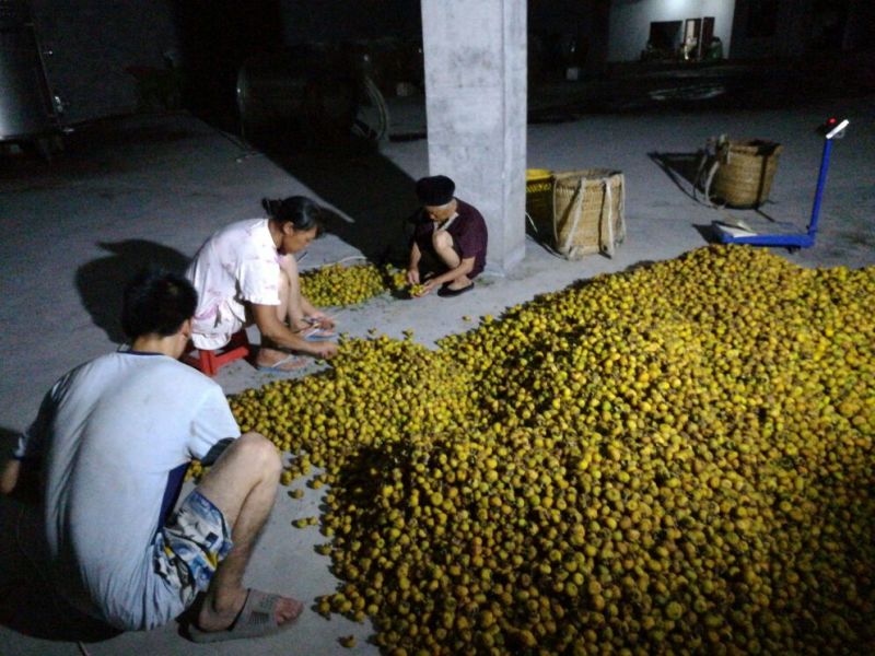 刺梨鲜