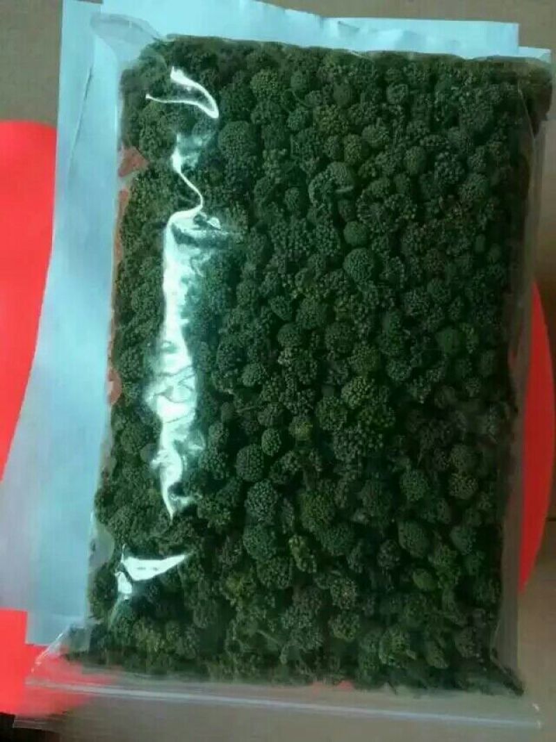 三七花带柄