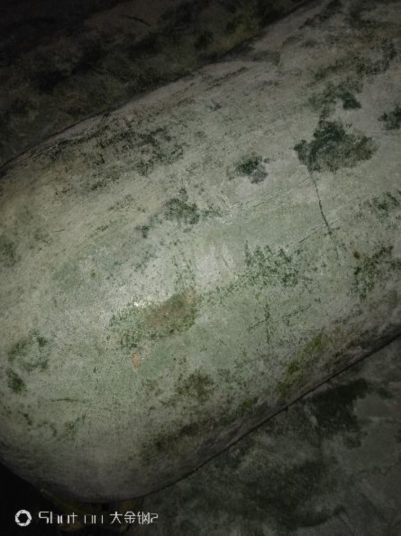 白皮冬瓜15斤以上地冬瓜