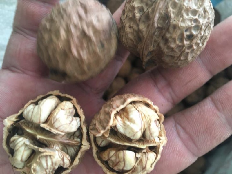 薄皮核桃30mm以上去皮干
