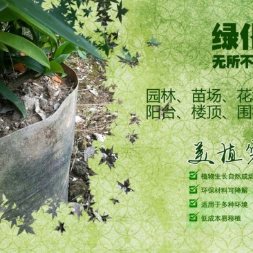 无纺布袋