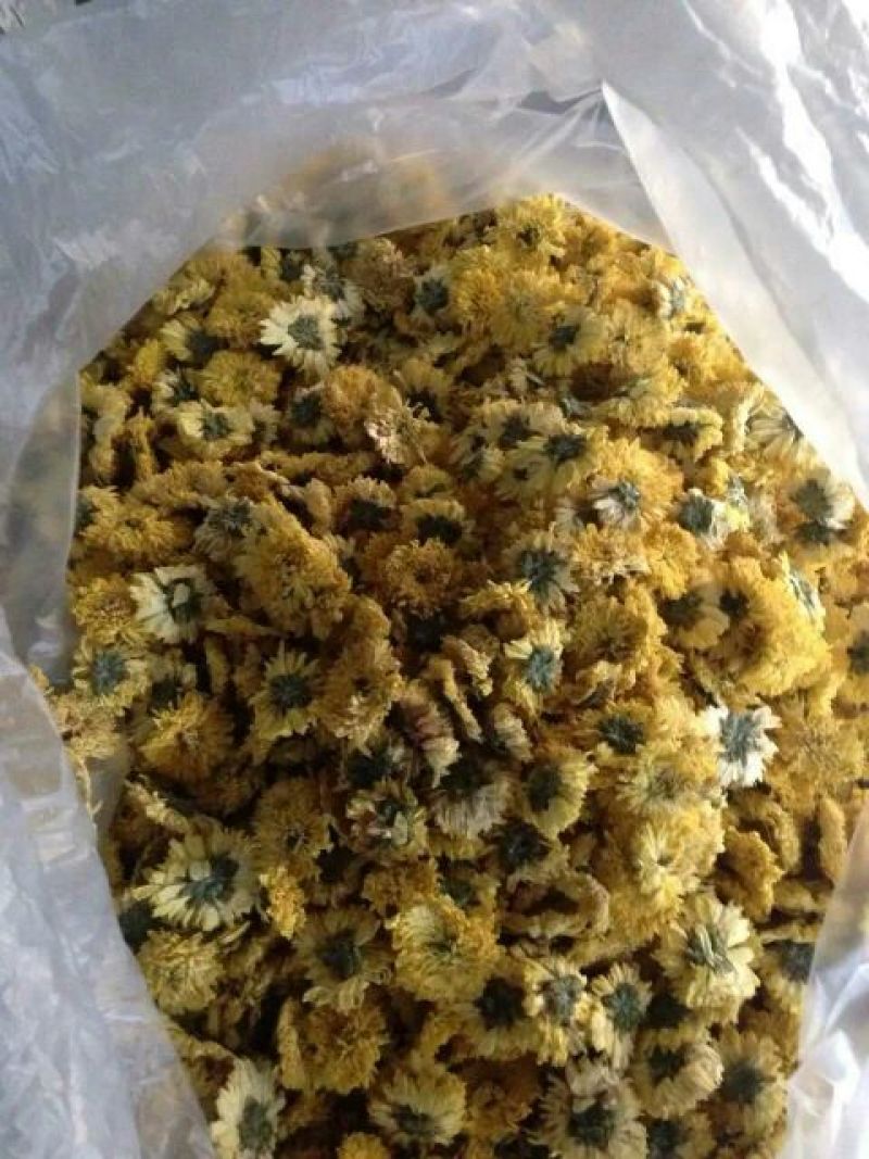 皇菊茶一级