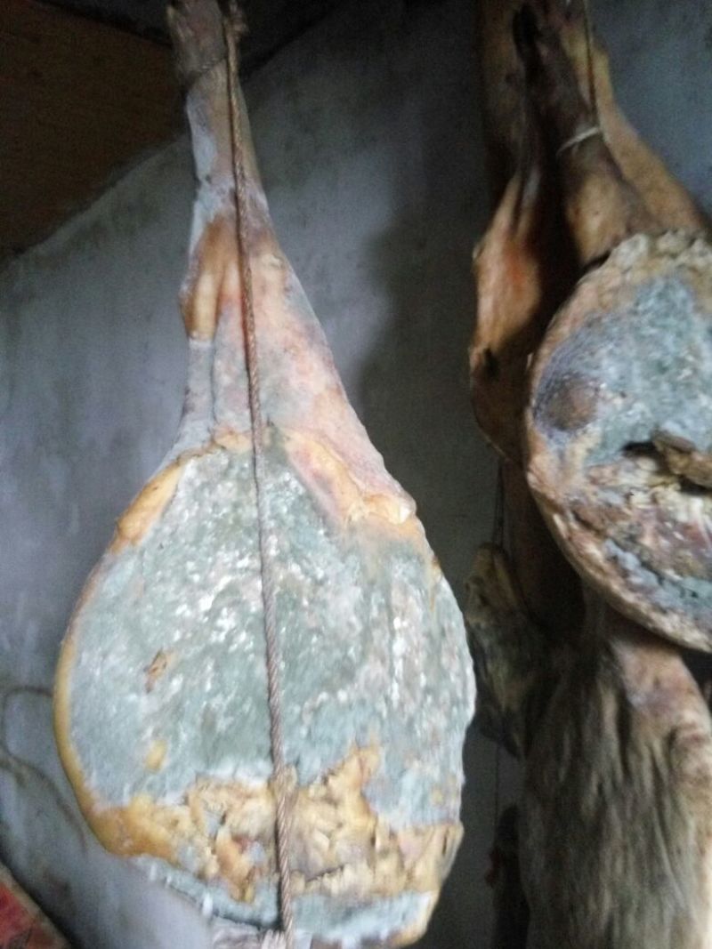 火腿